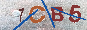 CAPTCHA изображение