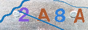 CAPTCHA изображение